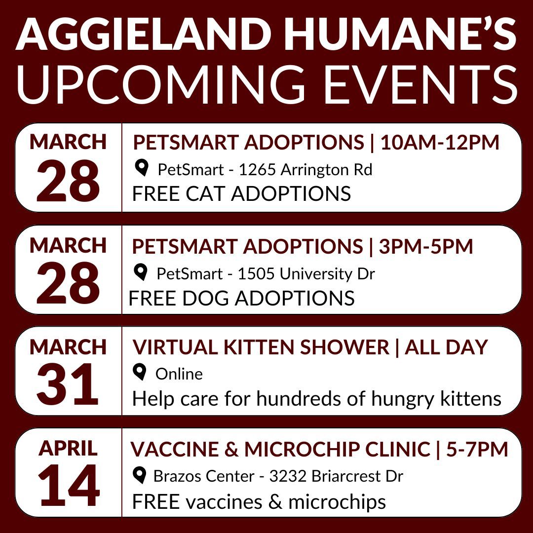 Aggieland Humane Society tweet media