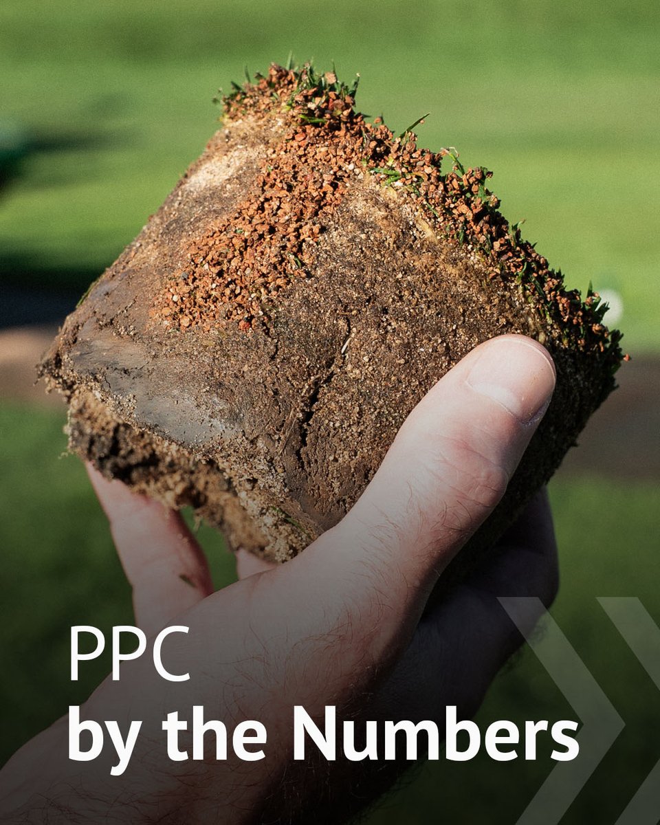 Profile Golf tweet media