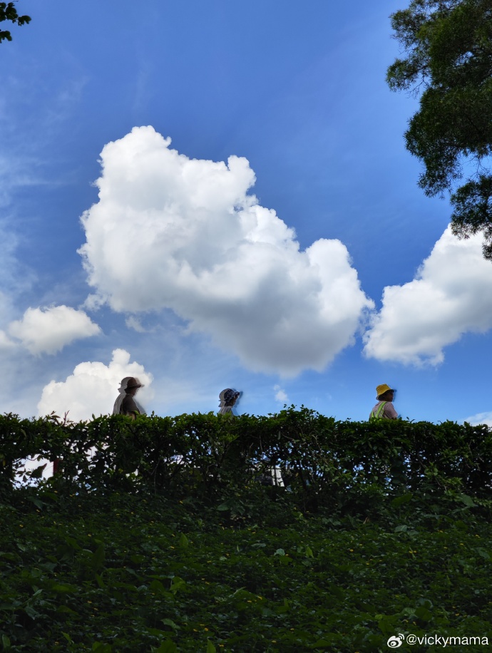 Wang Cao tweet media