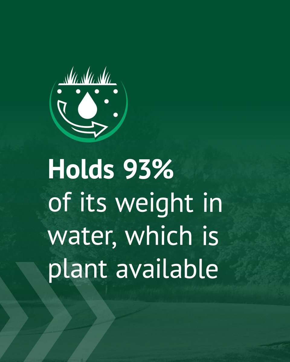 Profile Golf tweet media