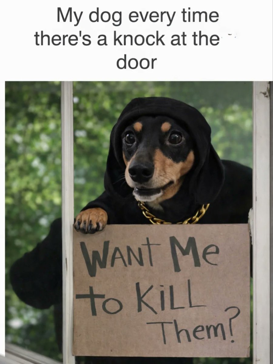 LAnDo NIFFIRG™️🇨🇦 tweet media