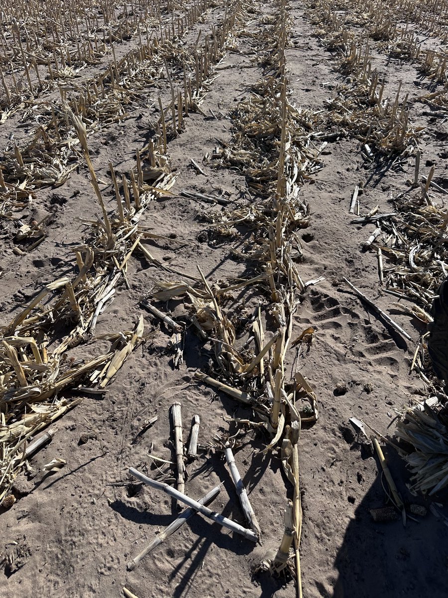 Jeff Wessels tweet media