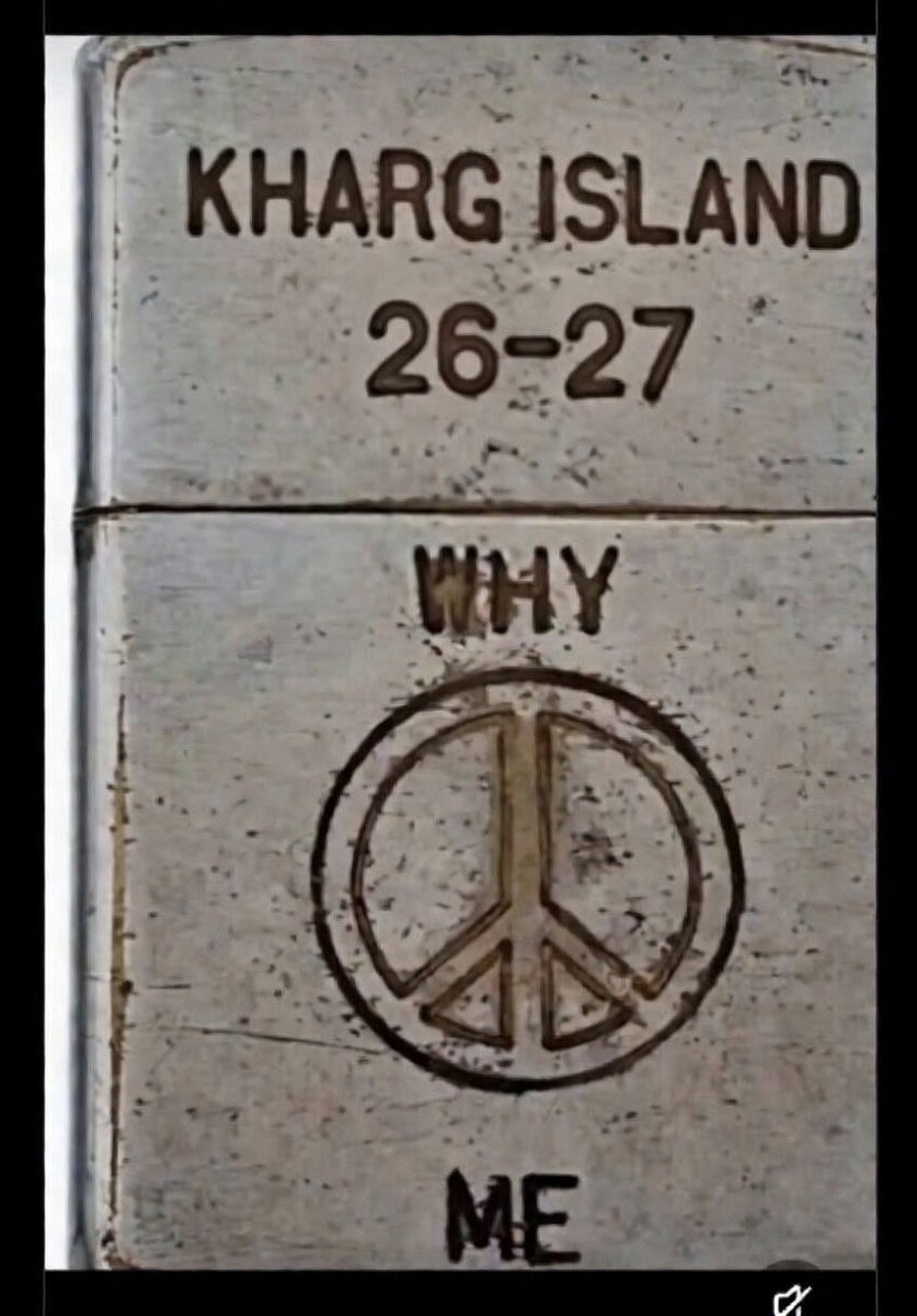 Dinbee05 tweet media