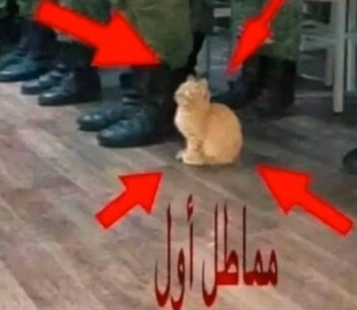 No limits-Just asymptotes tweet media