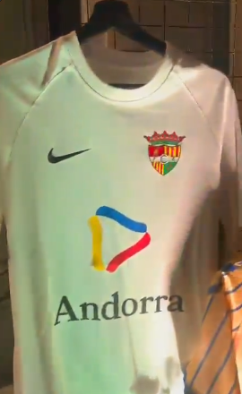 david () tweet media