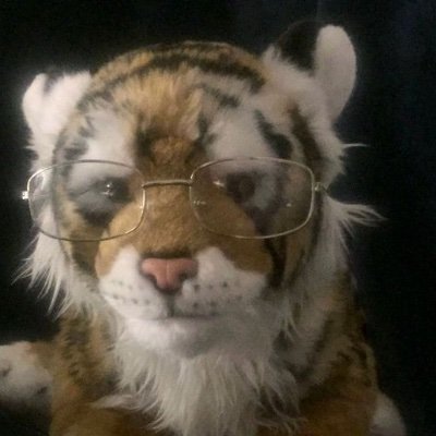 Derek 🧊 tweet media