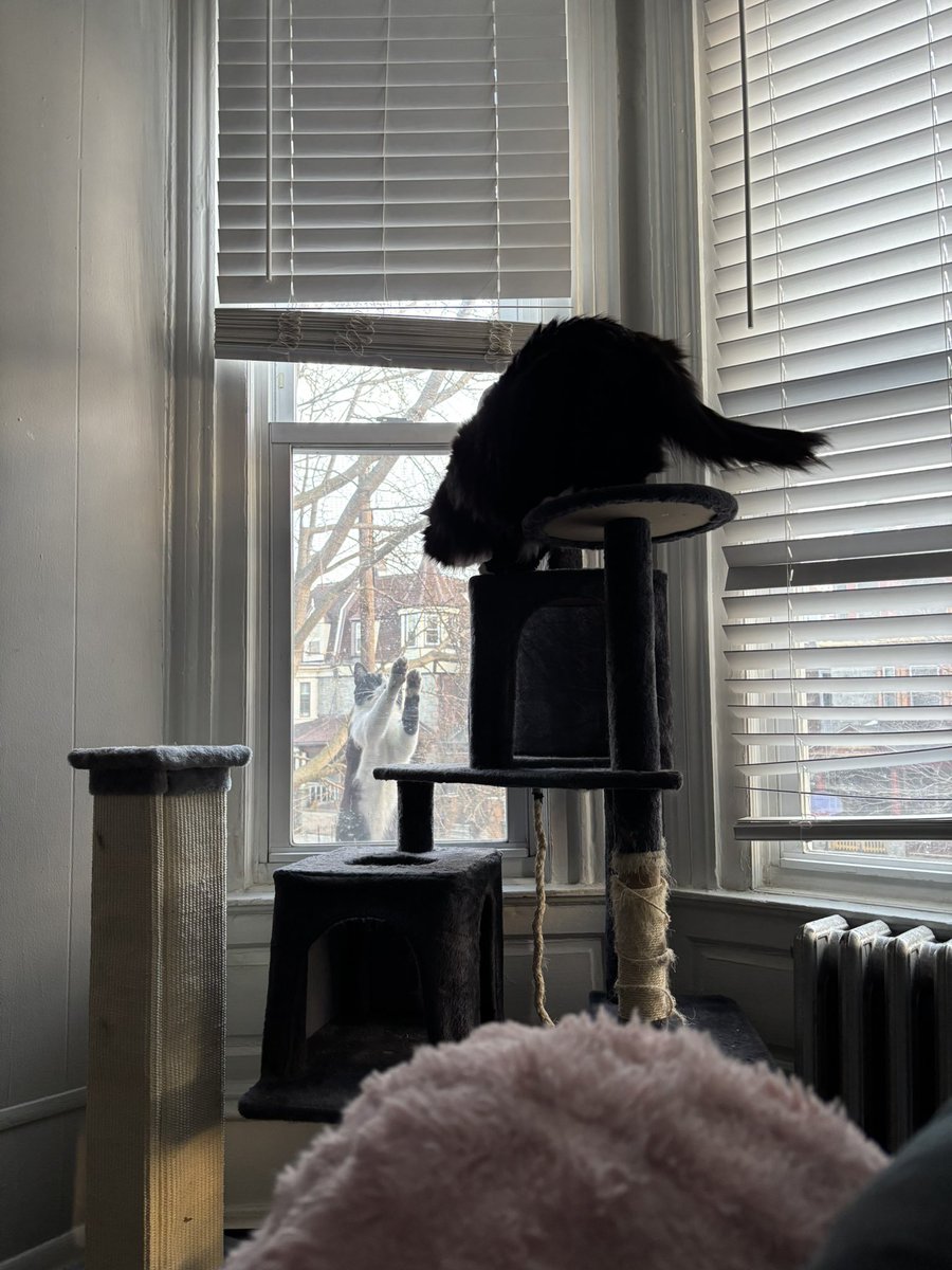 tabloidbeef's tweet photo. we live on the second floor https://t.co/wf1iniUllp