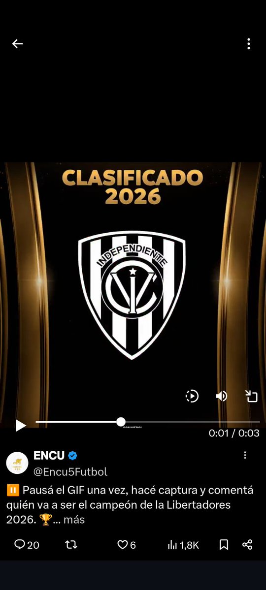 Maxi Müller tweet media