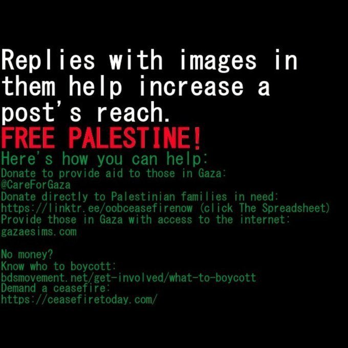 フィラ 🍉 tweet media