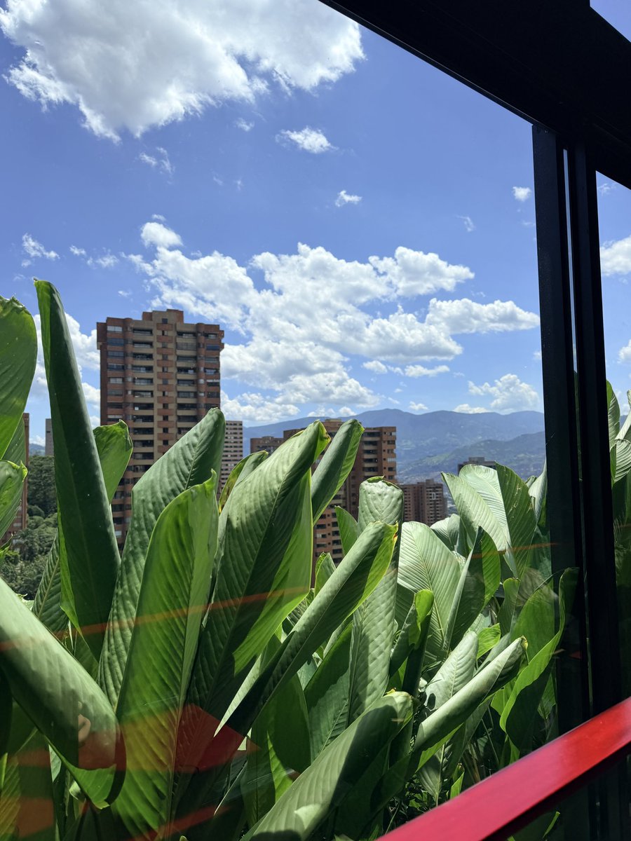 Luiz Cent 🪙 tweet media