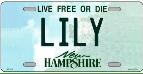 Steve Classic tweet media