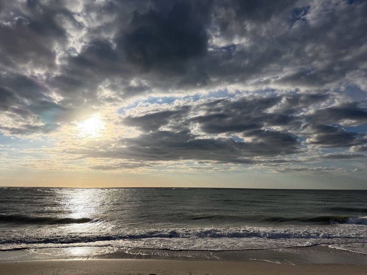 Dan Burkland tweet media