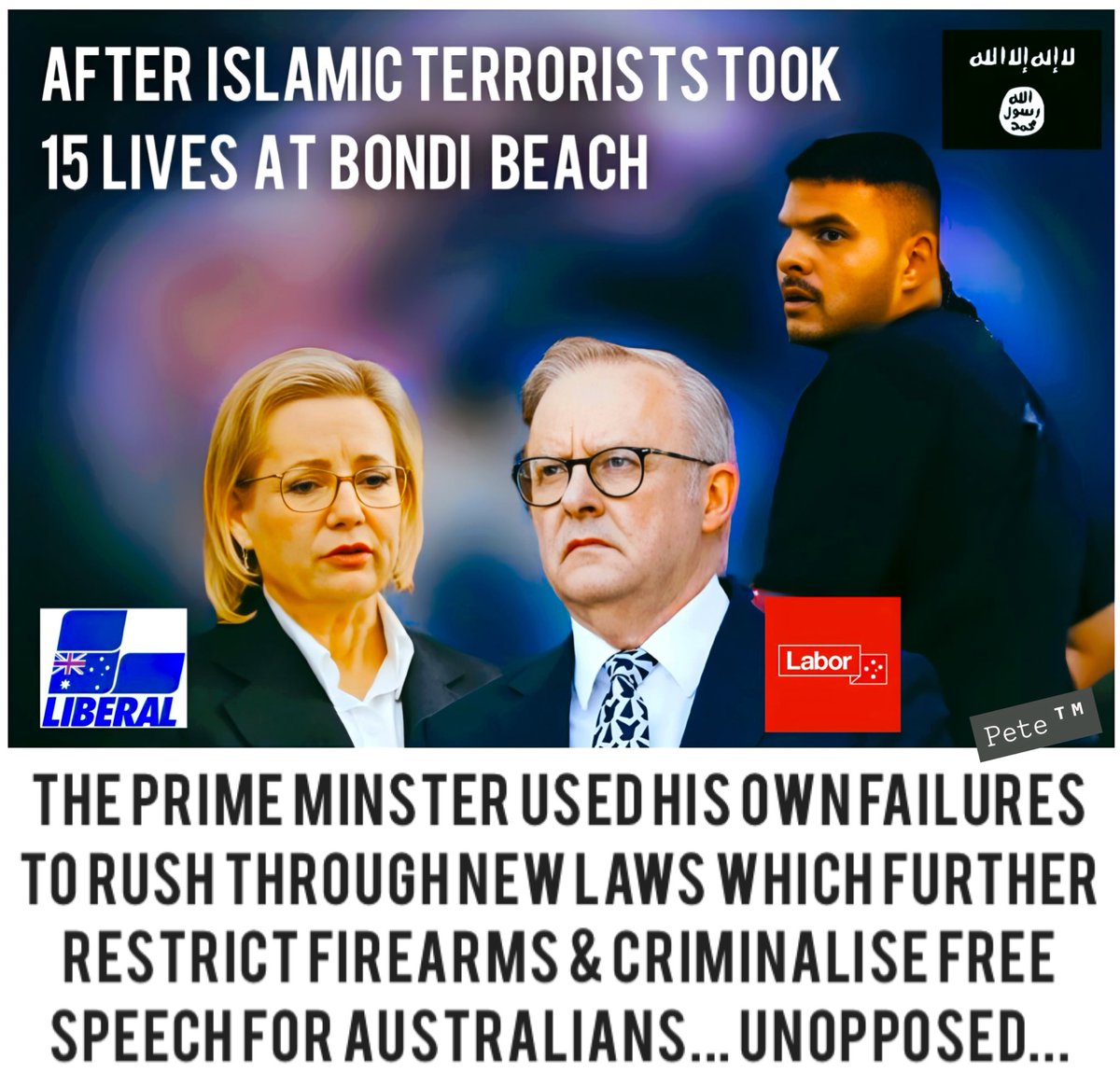 𝙿𝚎𝚝𝚎ᵀᴹ tweet media