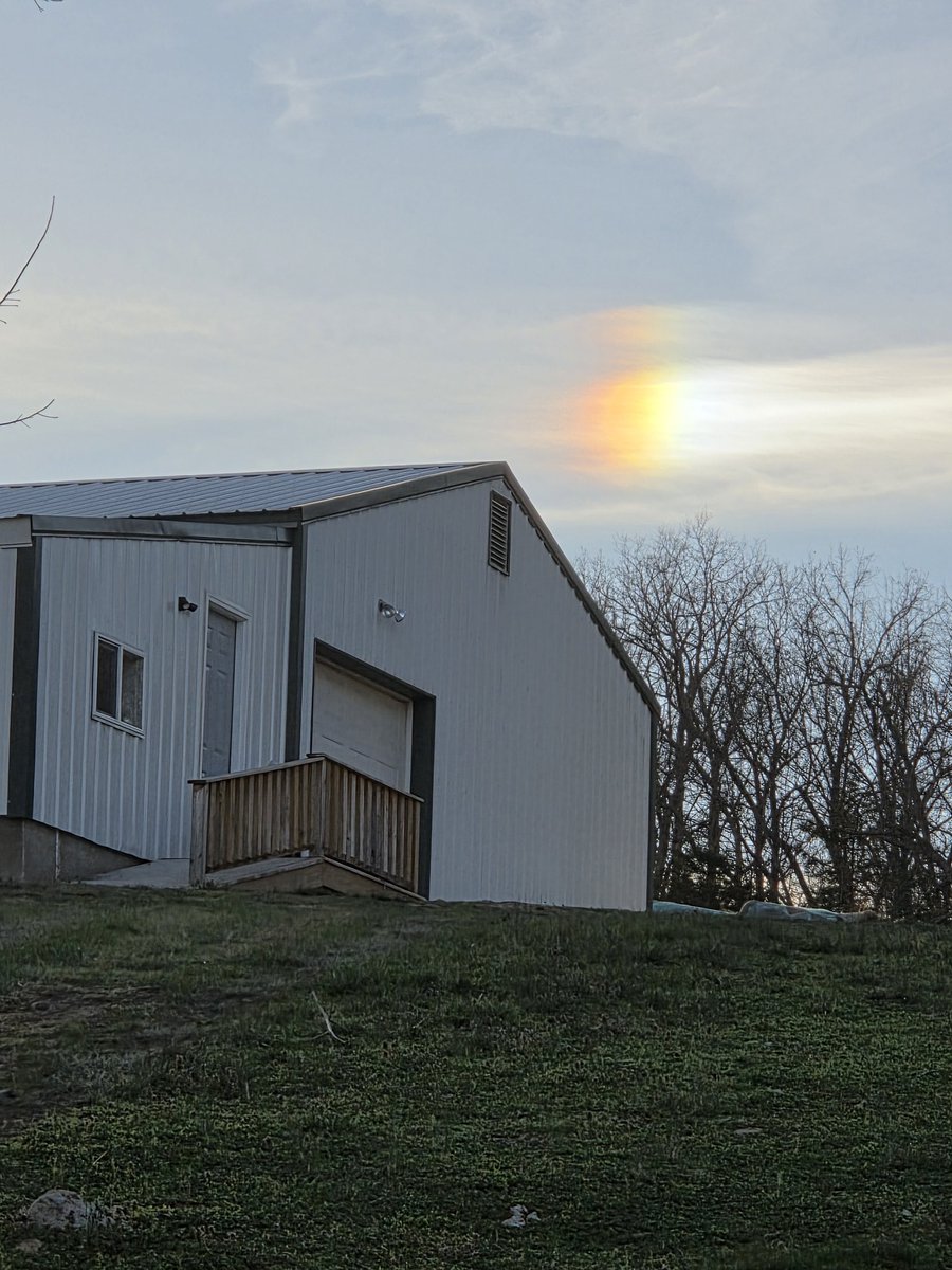 PolkCo.Line tweet media