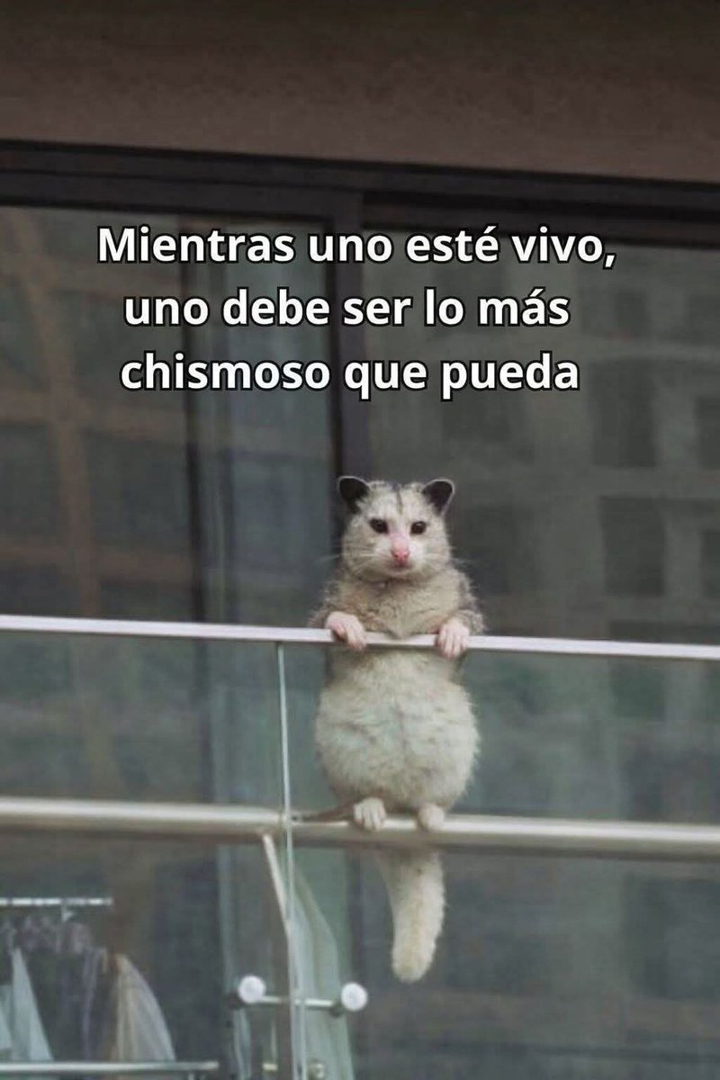 Lonely🥀 tweet media