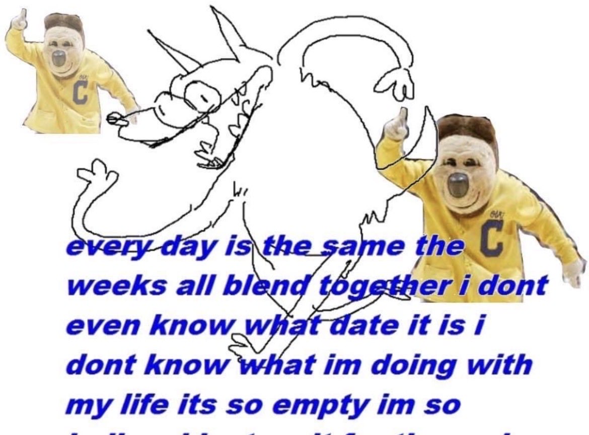 Big Monkey Head Guy tweet media