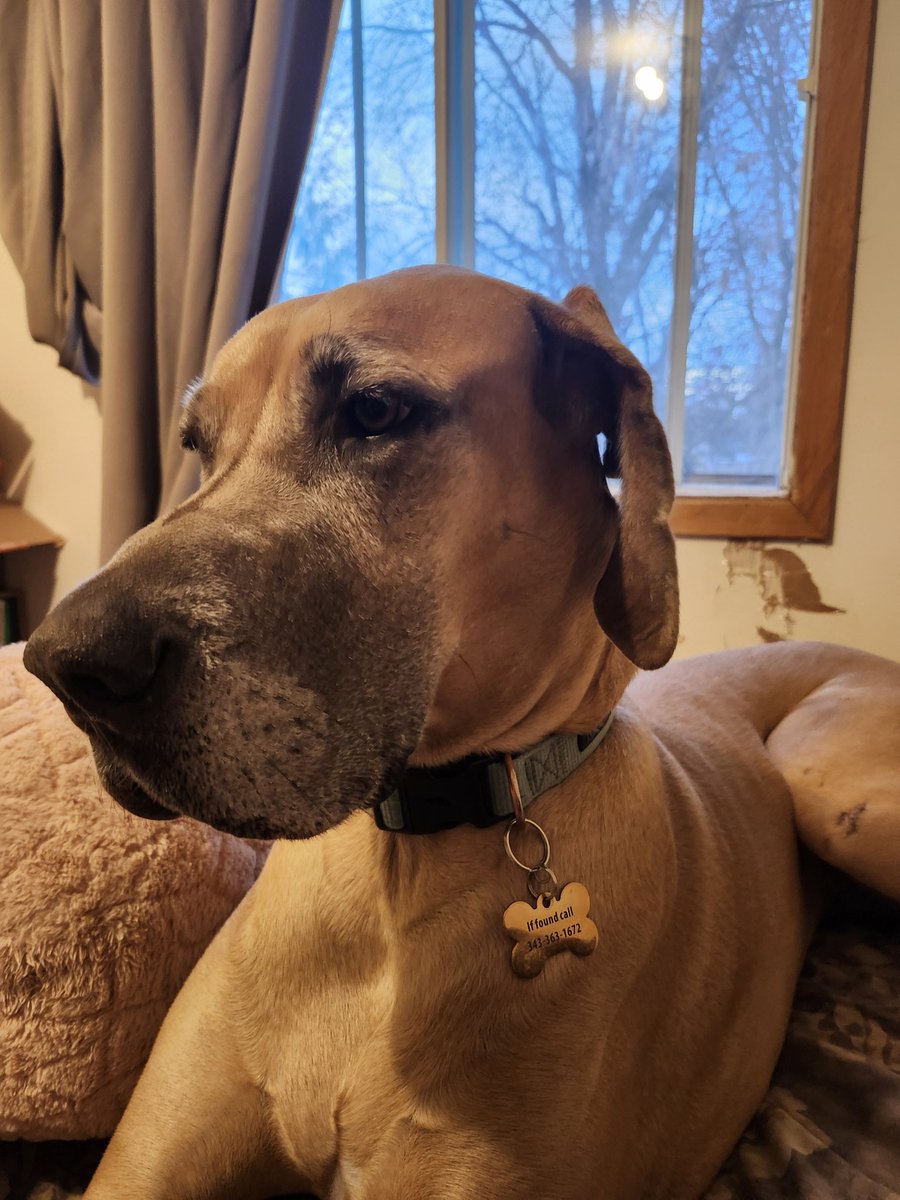 JustLiza tweet media