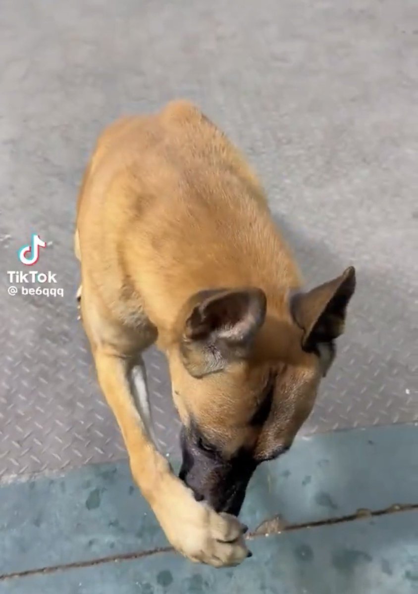 Quadmanlee tweet media