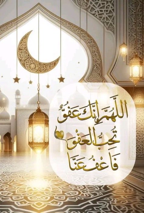 موقع المعيبي الرسمي tweet media