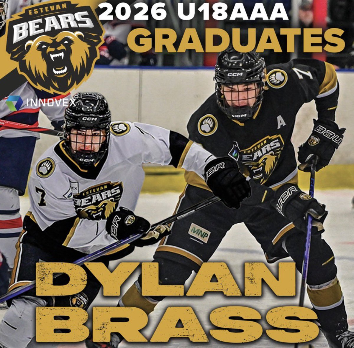 Estevan Bears tweet media