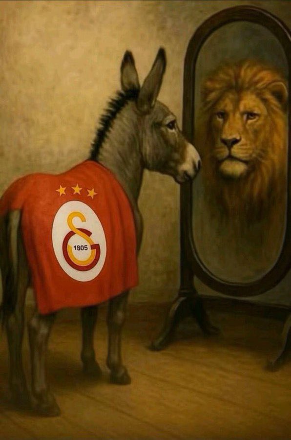 ❤️💙 tweet media