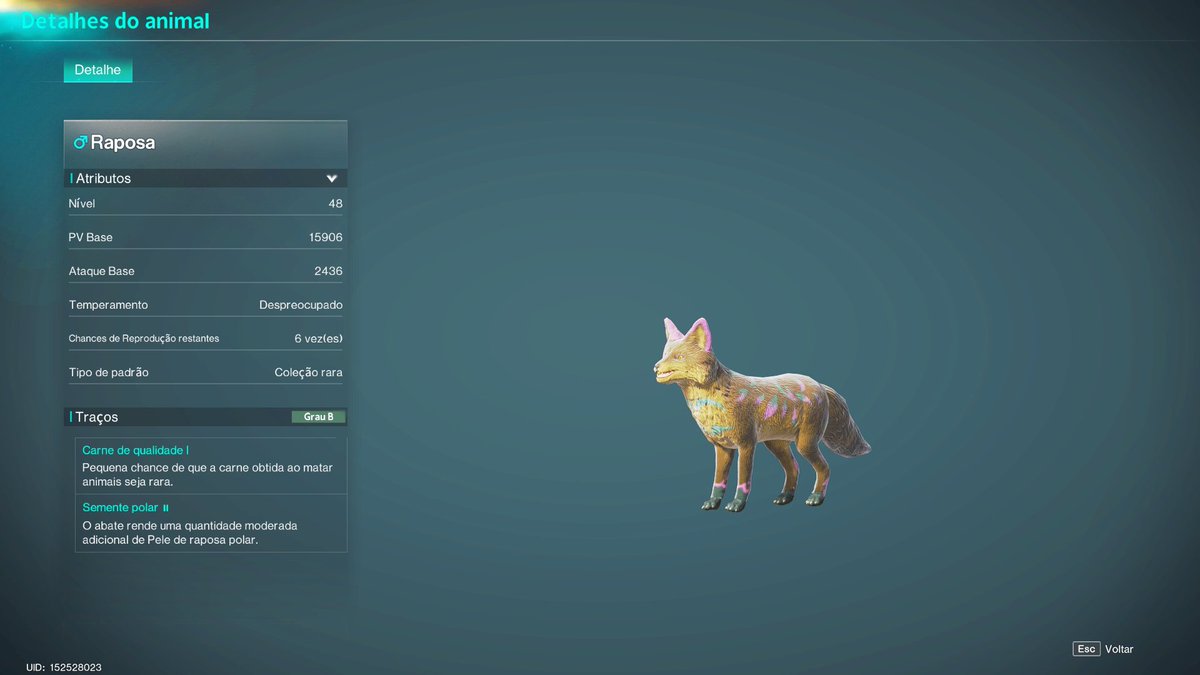 Clariinha tweet media