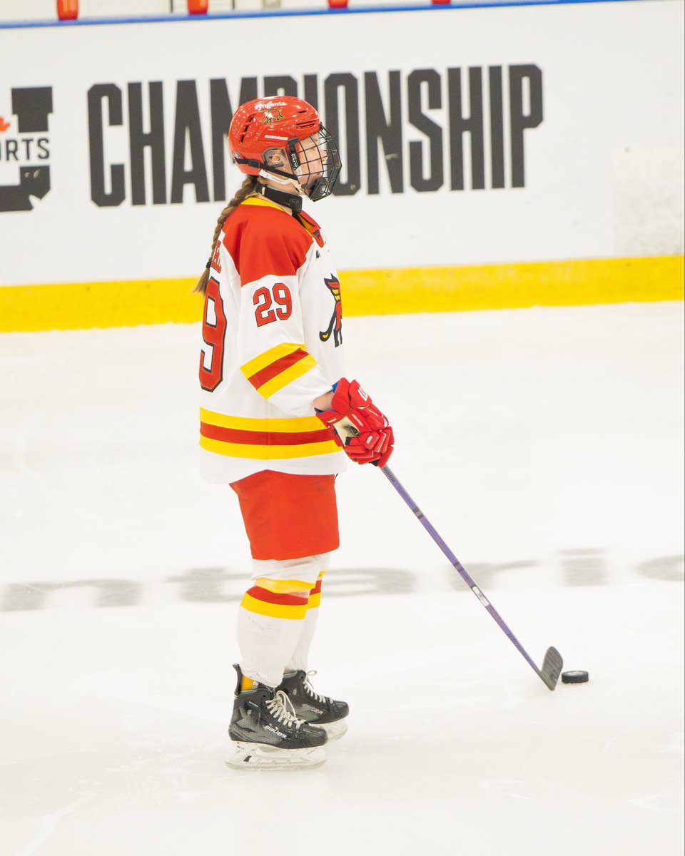 Sam Hossack Media tweet media