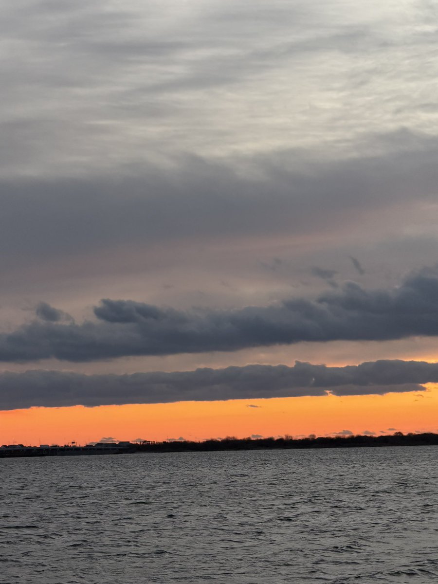 The Rebsinator Will Get on TV 🌈🐱🌟🌺💗 tweet media