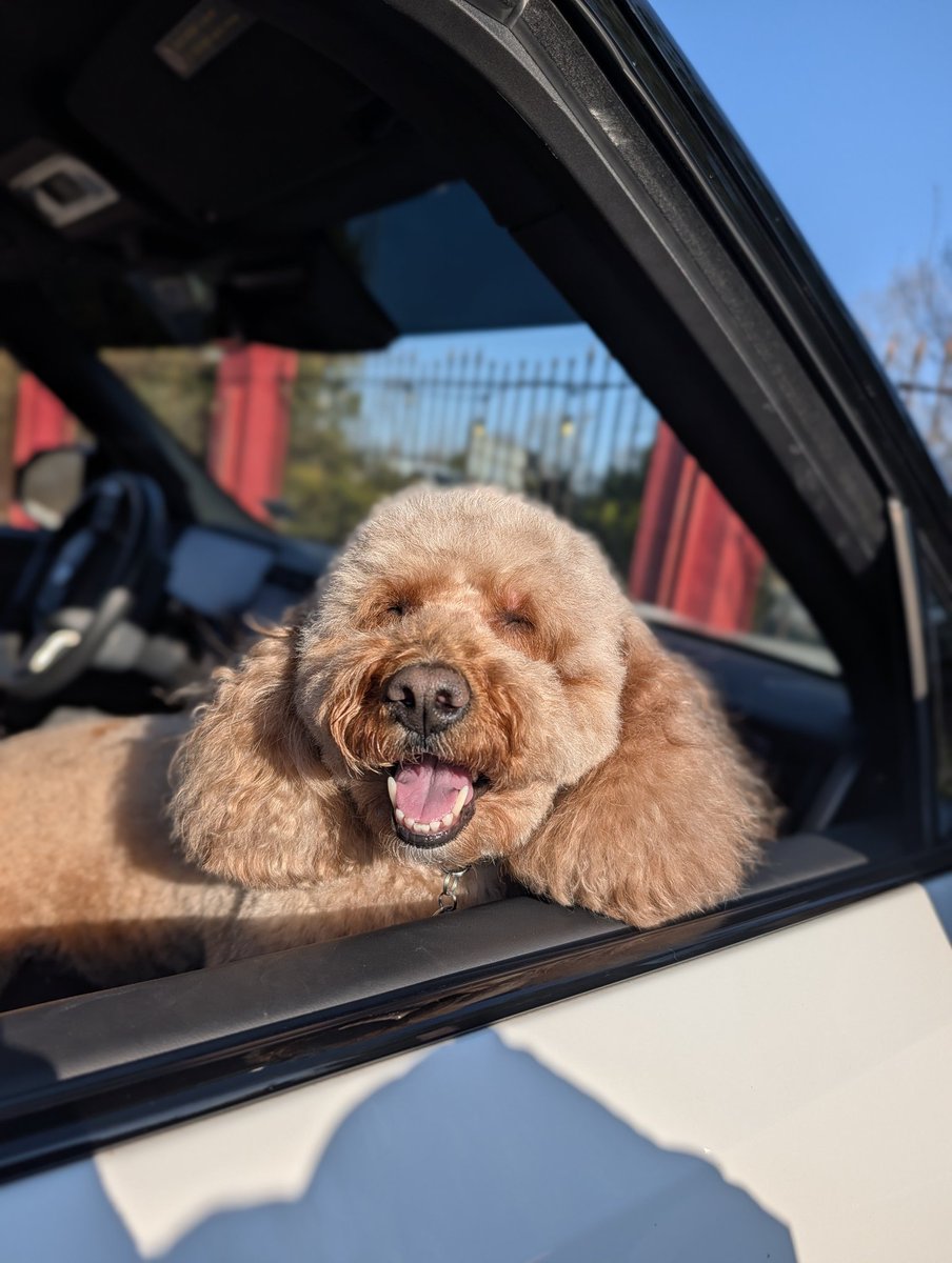 Kanundrum tweet media