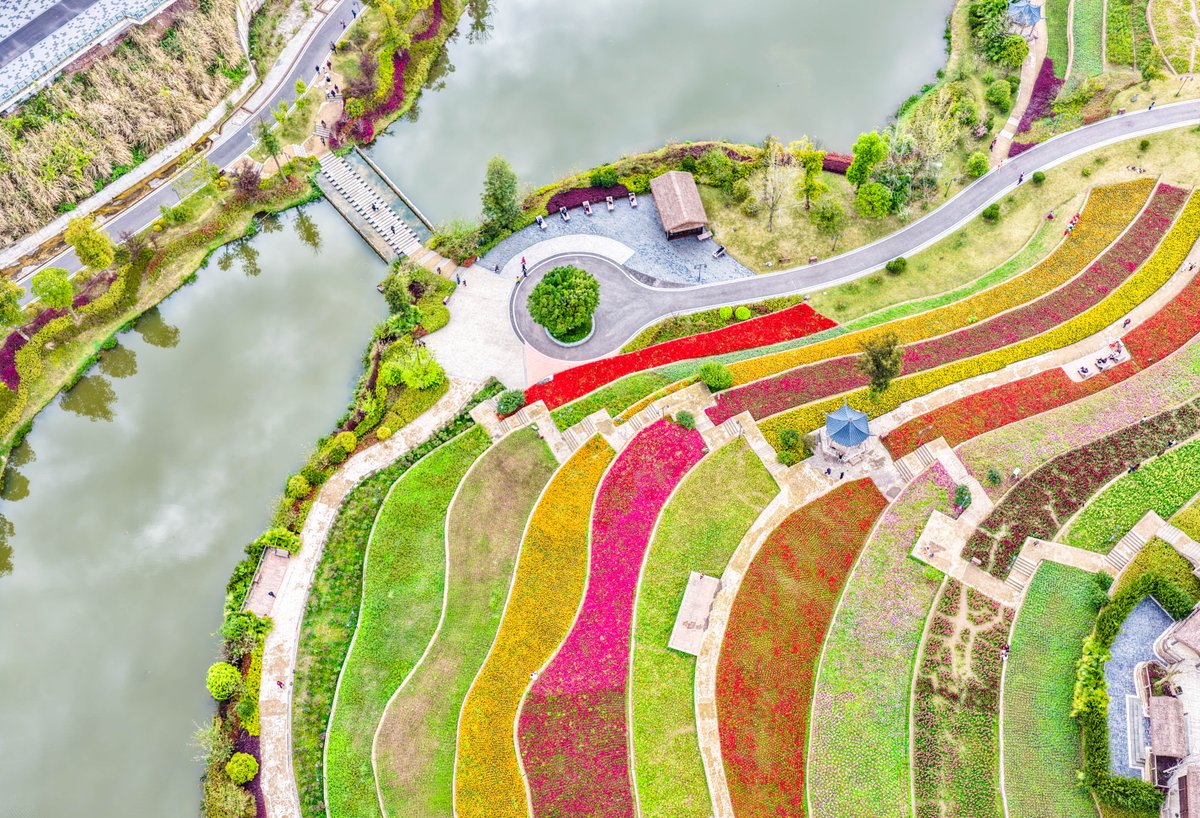 China Daily tweet media