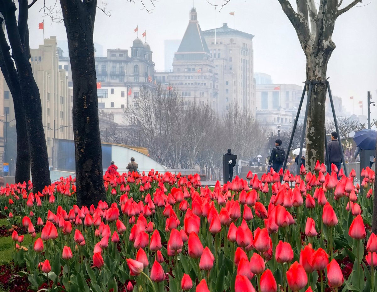 China Daily tweet media