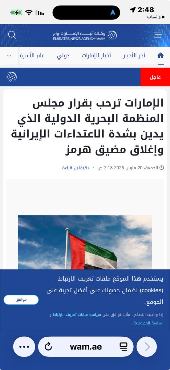 فضيلة المعيني tweet media