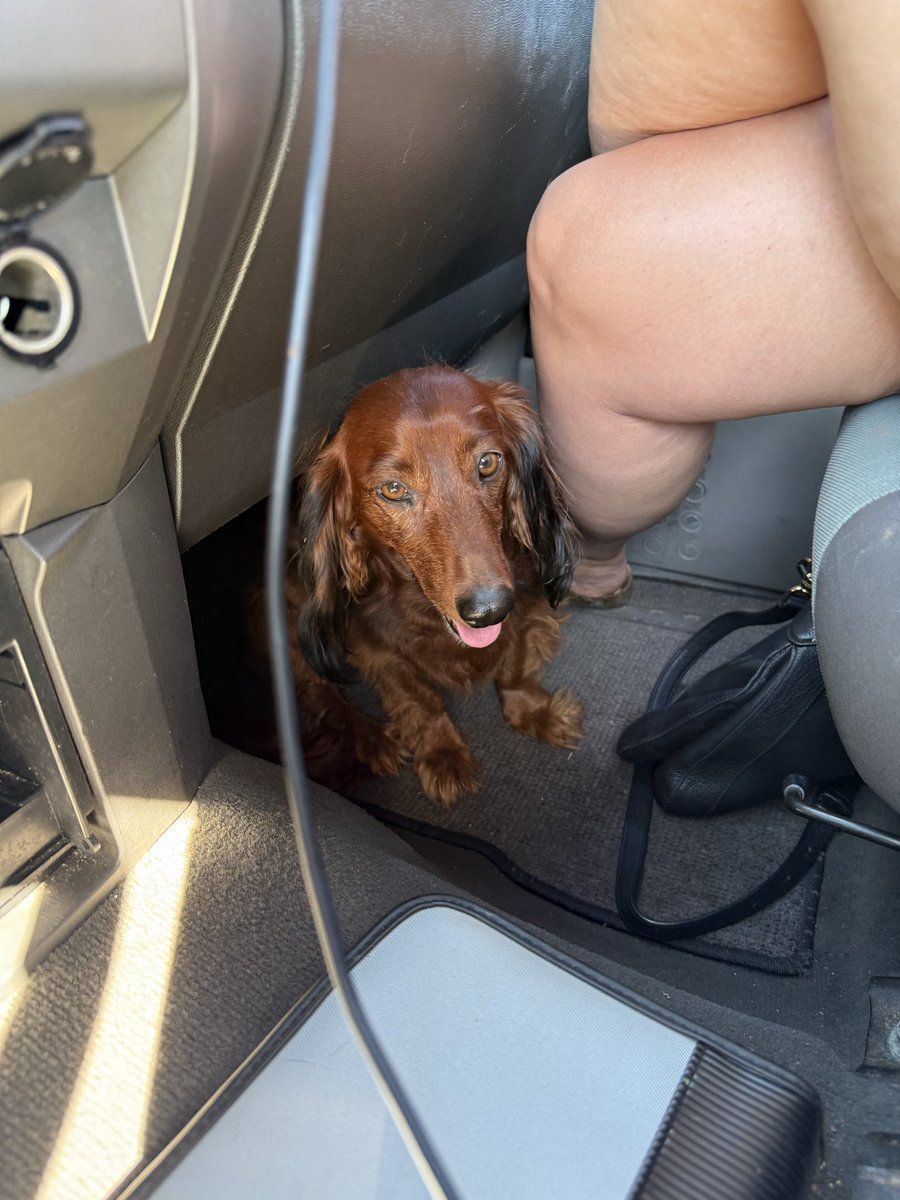 A. Mando tweet media