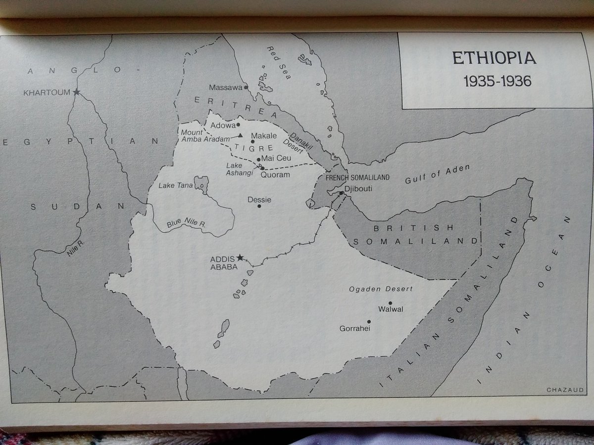 anne witkowski tweet media