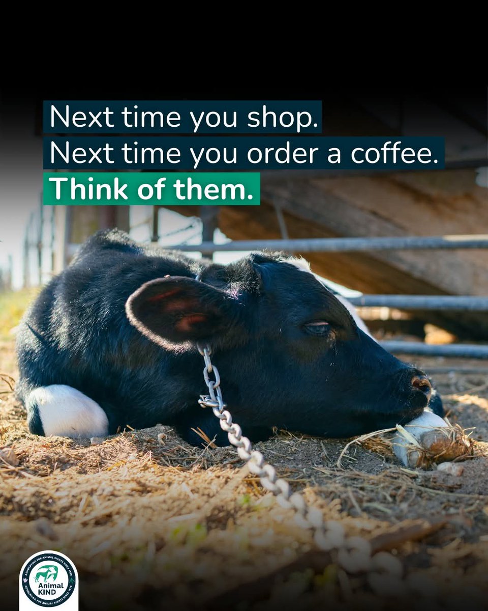 Dervilla(v) tweet media