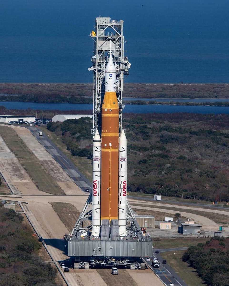 Talk of Titusville 🌴🚀 tweet media