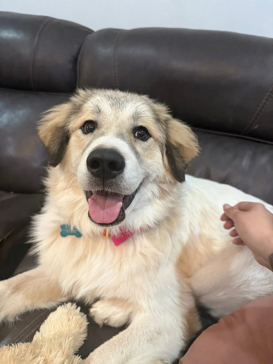 RevaliTheBerner tweet media