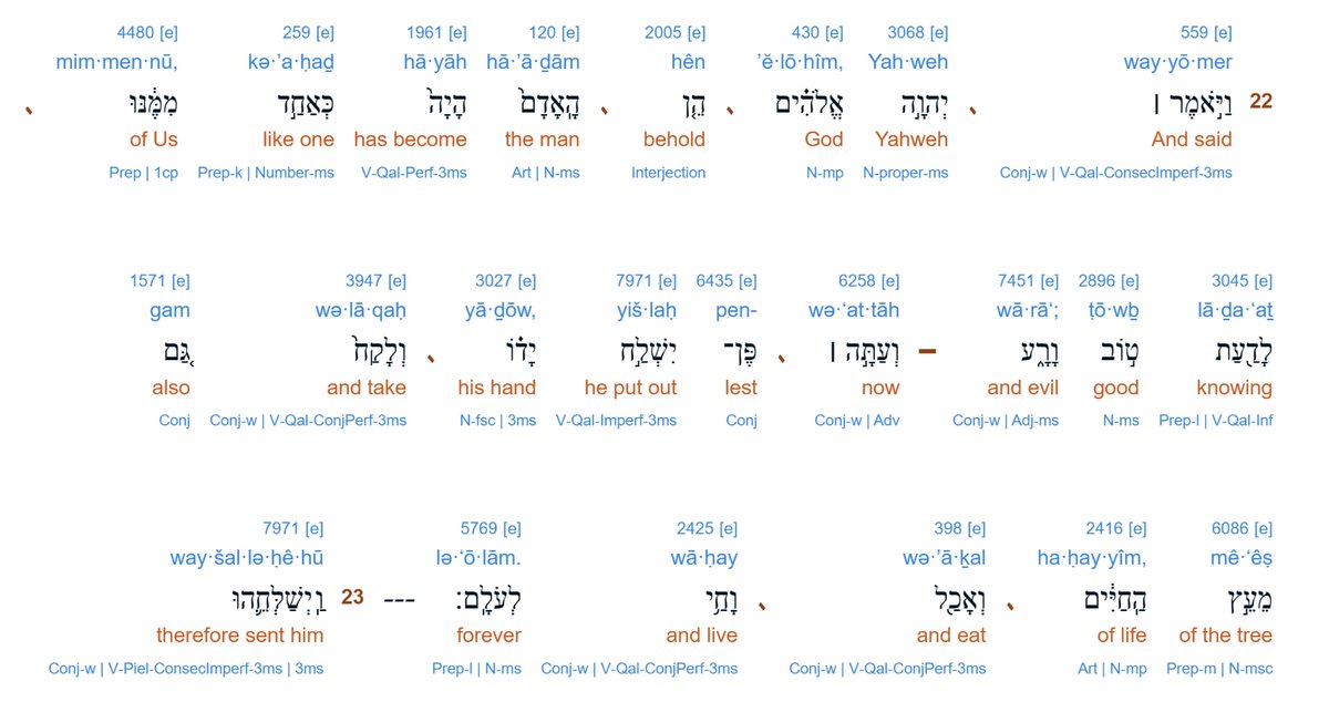 Midjority tweet media