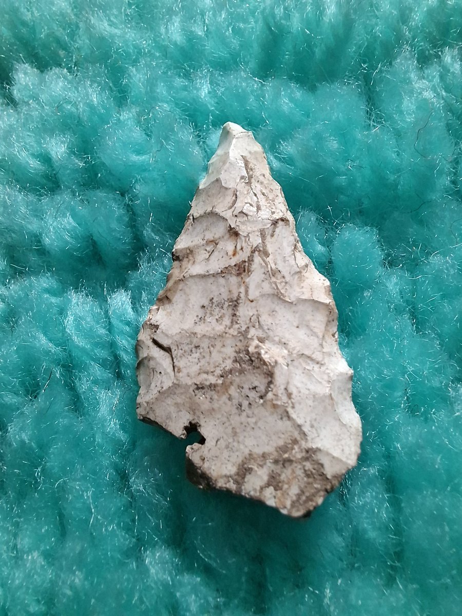 🌼🍋Helencello🍋🌼 tweet media