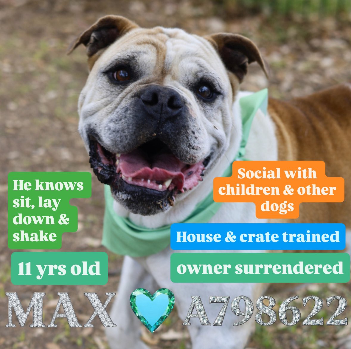 Aurora ⸆⸉ misses Liam ❯❯❯❯ tweet media