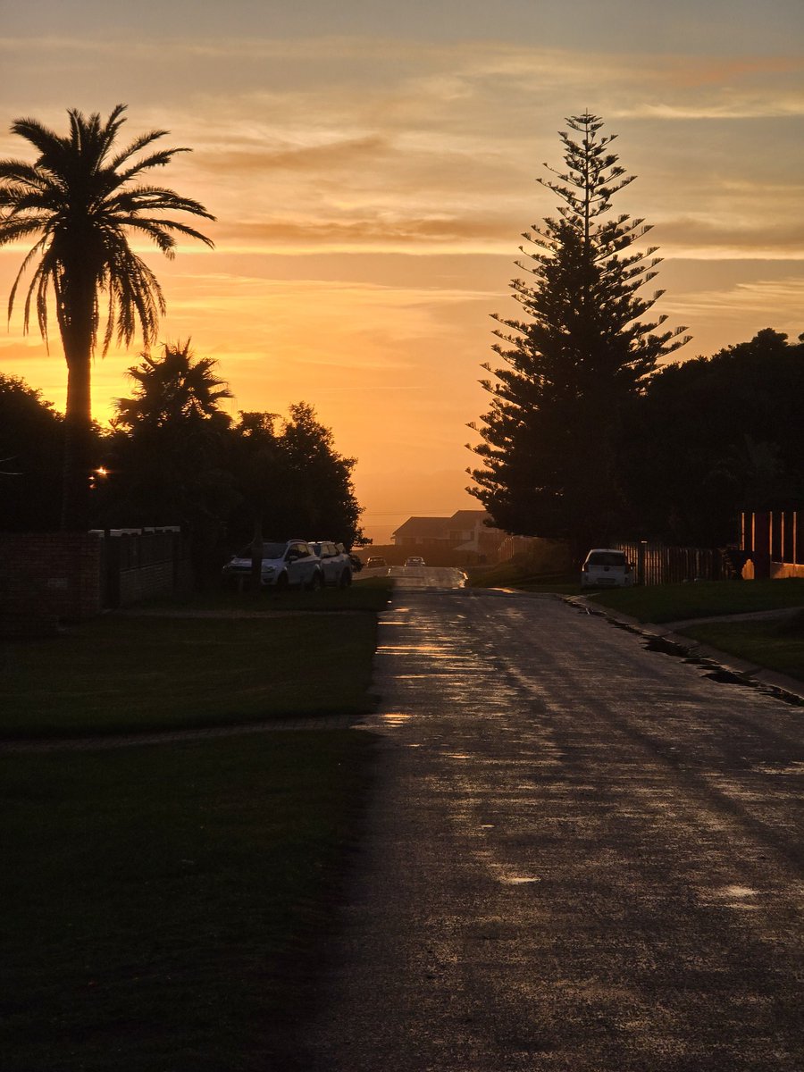 Fennecous tweet media