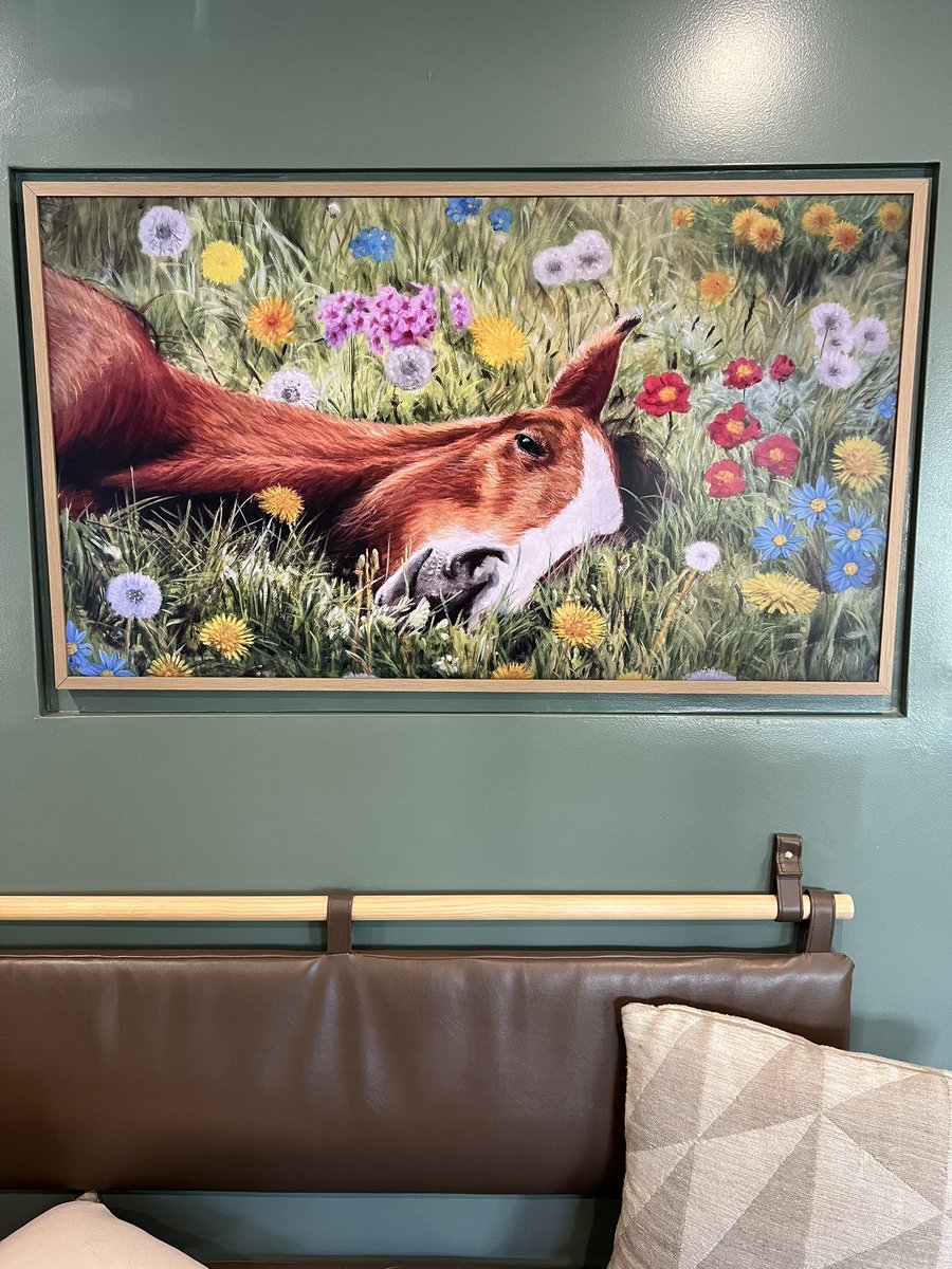 K C 🦅 tweet media