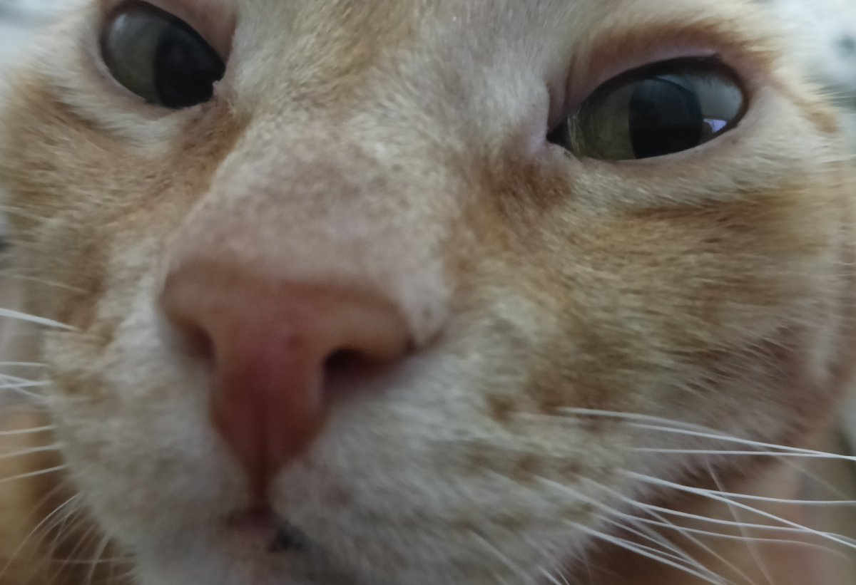 belim vidalandı imdat tweet media