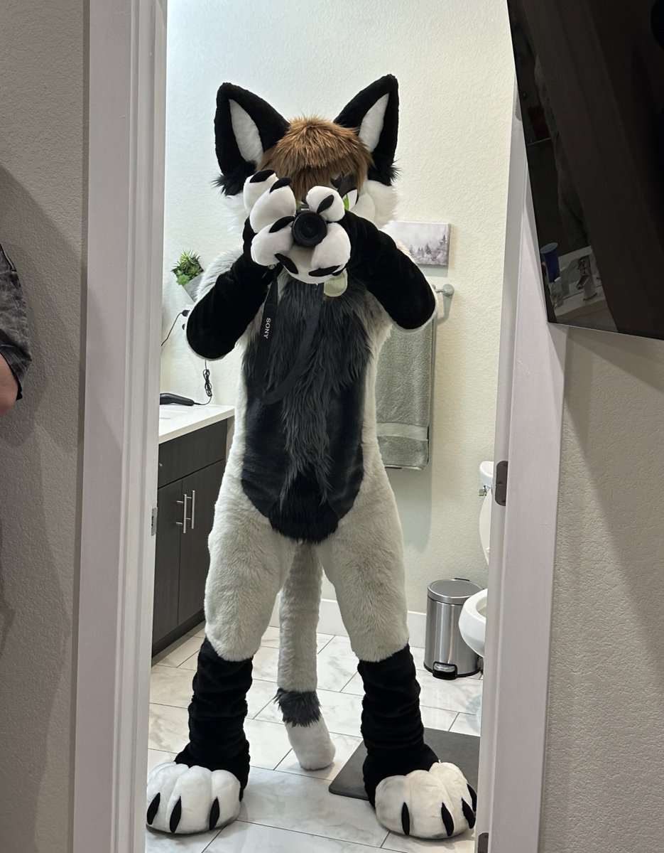 JAY FOXCAT 𓃦 tweet media