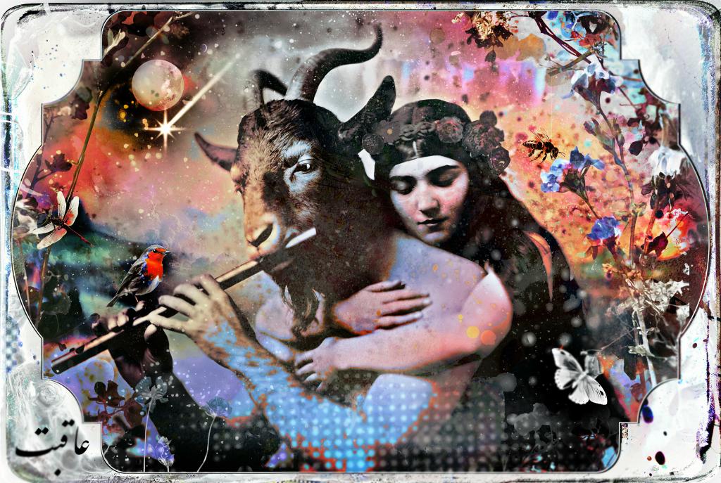 Neda Tavallaee tweet media