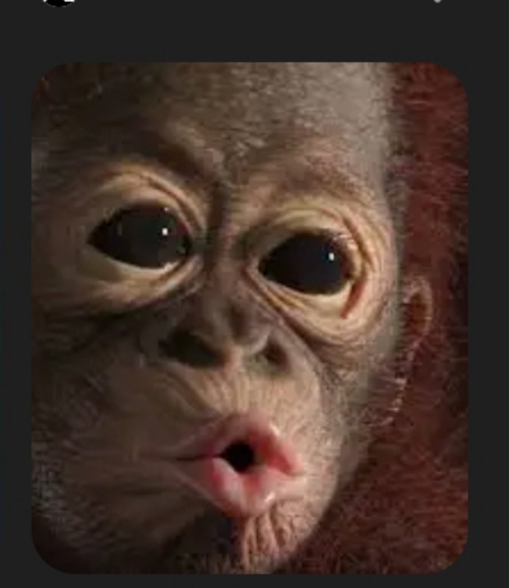 Opaconnect tweet media