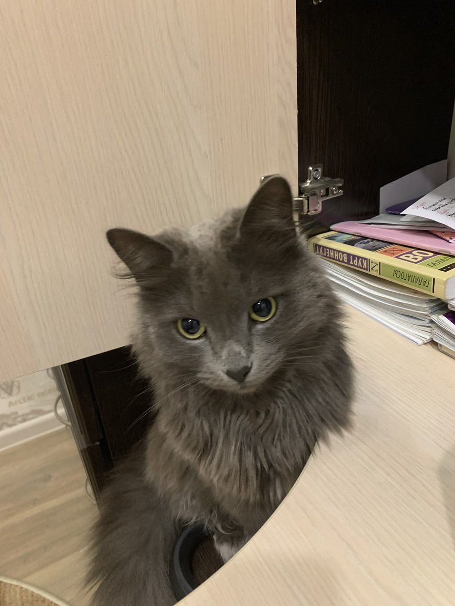 Megan ★ tweet media