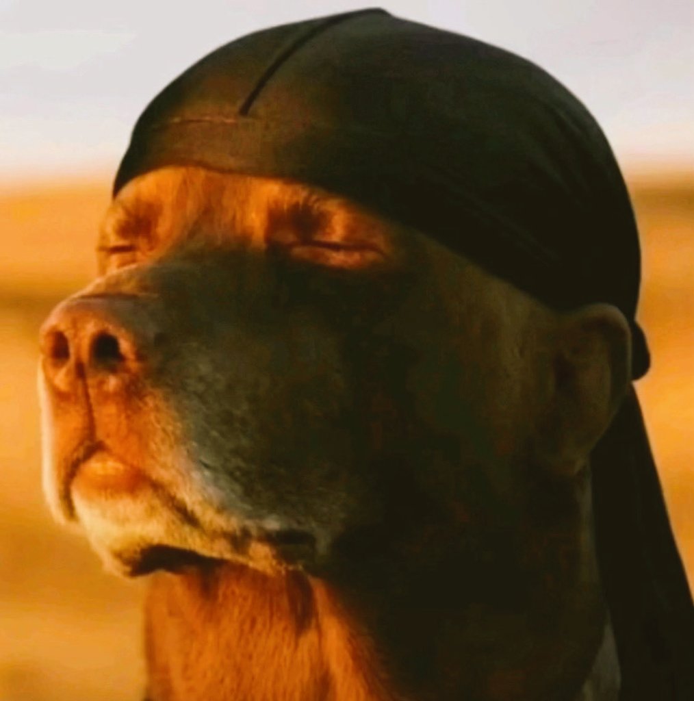 Adeiza COYG tweet media