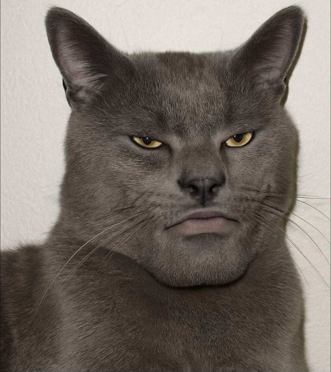 PNWGUERRILLA tweet media