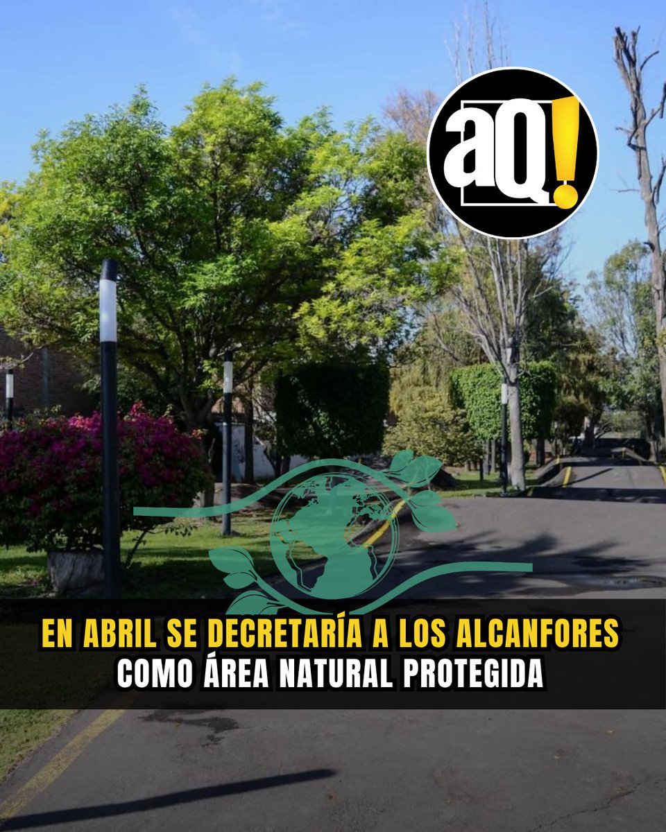 AlertaQro Noticias tweet media